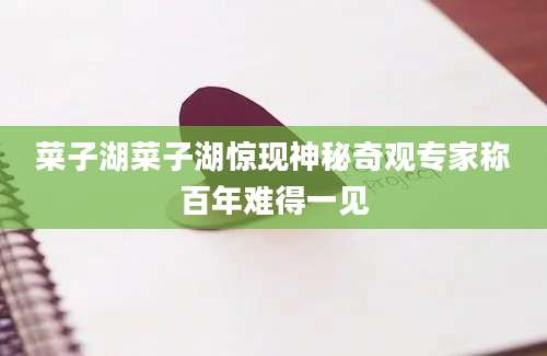 菜子湖菜子湖惊现神秘奇观专家称百年难得一见