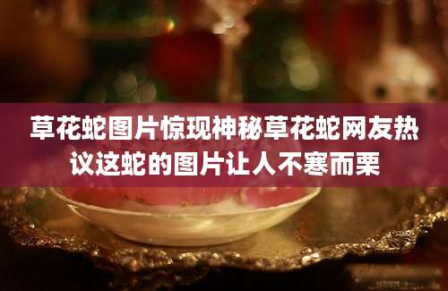 草花蛇图片惊现神秘草花蛇网友热议这蛇的图片让人不寒而栗