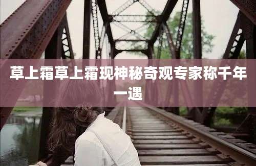草上霜草上霜现神秘奇观专家称千年一遇