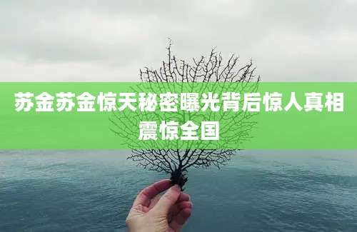 苏金苏金惊天秘密曝光背后惊人真相震惊全国