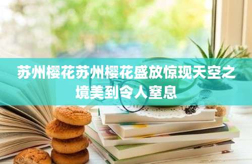 苏州樱花苏州樱花盛放惊现天空之境美到令人窒息