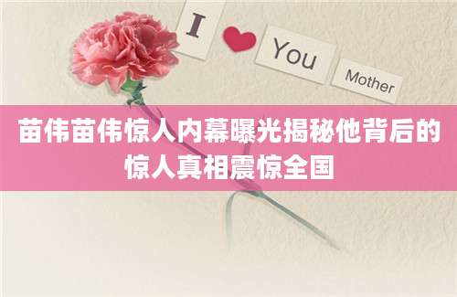 苗伟苗伟惊人内幕曝光揭秘他背后的惊人真相震惊全国