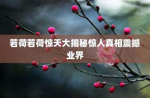 若荷若荷惊天大揭秘惊人真相震撼业界