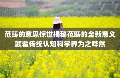 范畴的意思惊世揭秘范畴的全新意义颠覆传统认知科学界为之哗然