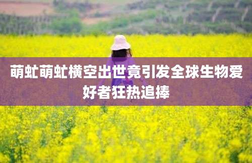 萌虻萌虻横空出世竟引发全球生物爱好者狂热追捧