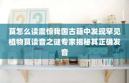 茛怎么读震惊我国古籍中发现罕见植物茛读音之谜专家揭秘其正确发音