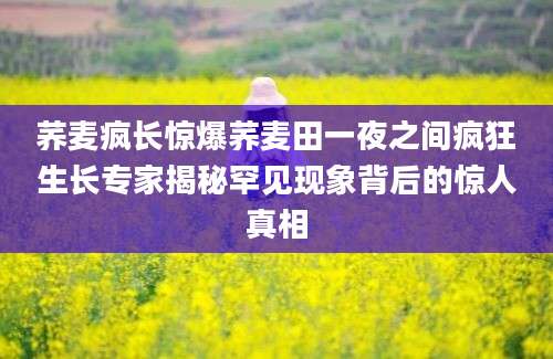 荞麦疯长惊爆荞麦田一夜之间疯狂生长专家揭秘罕见现象背后的惊人真相