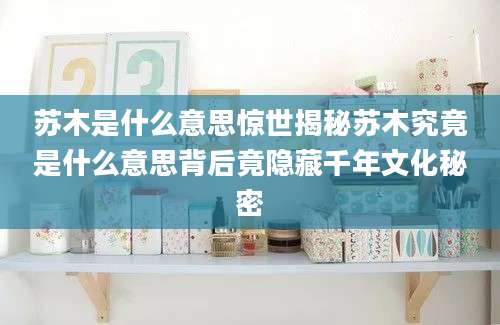 苏木是什么意思惊世揭秘苏木究竟是什么意思背后竟隐藏千年文化秘密