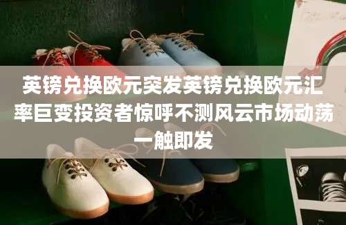 英镑兑换欧元突发英镑兑换欧元汇率巨变投资者惊呼不测风云市场动荡一触即发