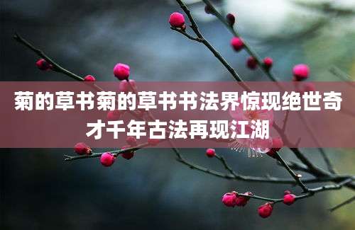 菊的草书菊的草书书法界惊现绝世奇才千年古法再现江湖