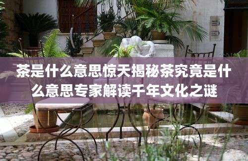 茶是什么意思惊天揭秘茶究竟是什么意思专家解读千年文化之谜