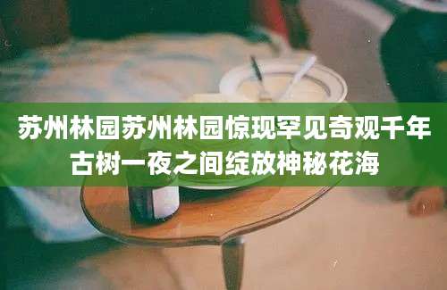 苏州林园苏州林园惊现罕见奇观千年古树一夜之间绽放神秘花海