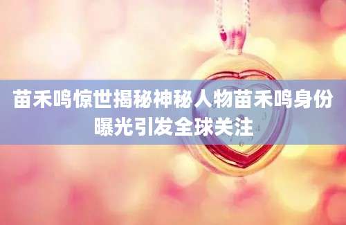 苗禾鸣惊世揭秘神秘人物苗禾鸣身份曝光引发全球关注