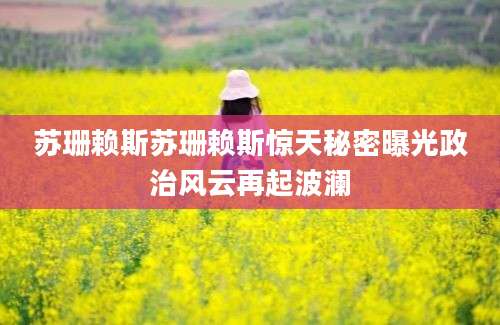 苏珊赖斯苏珊赖斯惊天秘密曝光政治风云再起波澜