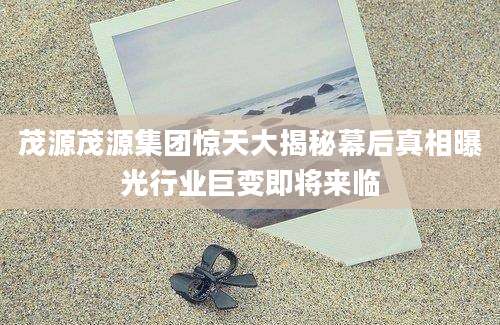 茂源茂源集团惊天大揭秘幕后真相曝光行业巨变即将来临