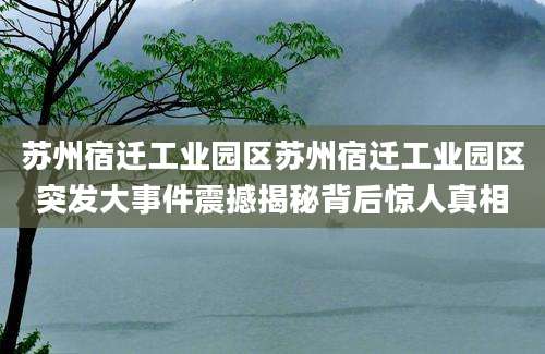 苏州宿迁工业园区苏州宿迁工业园区突发大事件震撼揭秘背后惊人真相