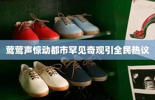 莺莺声惊动都市罕见奇观引全民热议