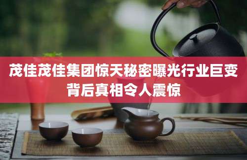 茂佳茂佳集团惊天秘密曝光行业巨变背后真相令人震惊