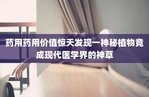 药用药用价值惊天发现一神秘植物竟成现代医学界的神草