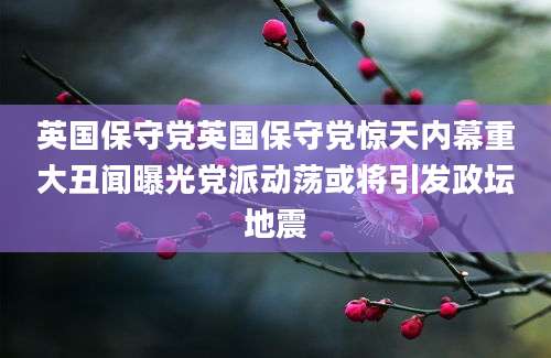 英国保守党英国保守党惊天内幕重大丑闻曝光党派动荡或将引发政坛地震
