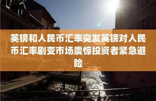 英镑和人民币汇率突发英镑对人民币汇率剧变市场震惊投资者紧急避险