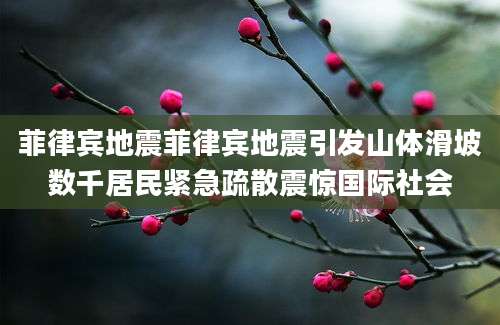 菲律宾地震菲律宾地震引发山体滑坡数千居民紧急疏散震惊国际社会