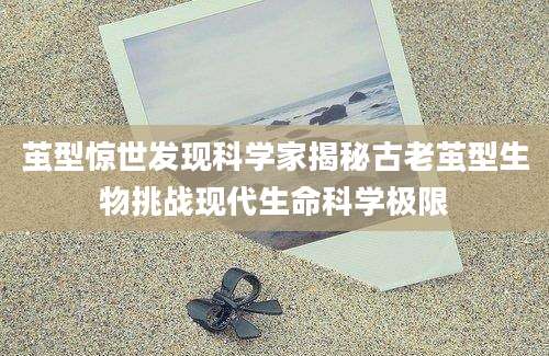 茧型惊世发现科学家揭秘古老茧型生物挑战现代生命科学极限