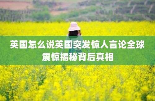 英国怎么说英国突发惊人言论全球震惊揭秘背后真相