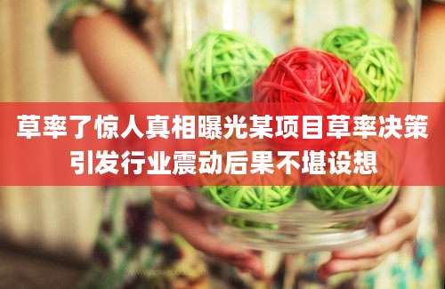 草率了惊人真相曝光某项目草率决策引发行业震动后果不堪设想