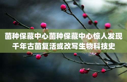 菌种保藏中心菌种保藏中心惊人发现千年古菌复活或改写生物科技史
