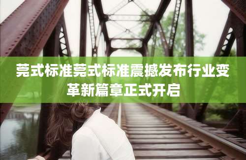 莞式标准莞式标准震撼发布行业变革新篇章正式开启
