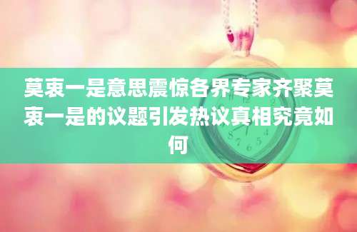莫衷一是意思震惊各界专家齐聚莫衷一是的议题引发热议真相究竟如何