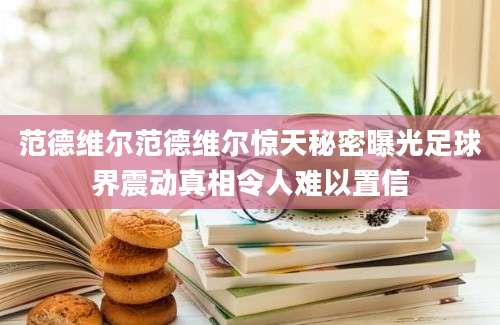 范德维尔范德维尔惊天秘密曝光足球界震动真相令人难以置信