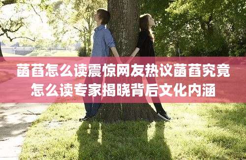 菡萏怎么读震惊网友热议菡萏究竟怎么读专家揭晓背后文化内涵