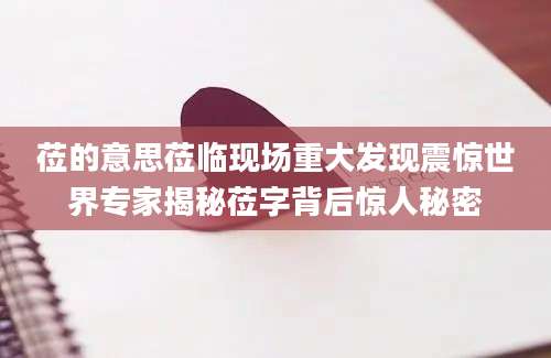 莅的意思莅临现场重大发现震惊世界专家揭秘莅字背后惊人秘密