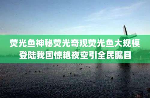 荧光鱼神秘荧光奇观荧光鱼大规模登陆我国惊艳夜空引全民瞩目