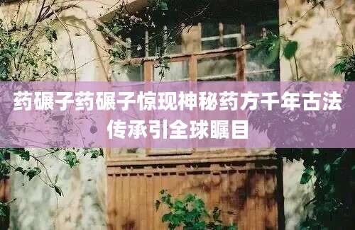 药碾子药碾子惊现神秘药方千年古法传承引全球瞩目