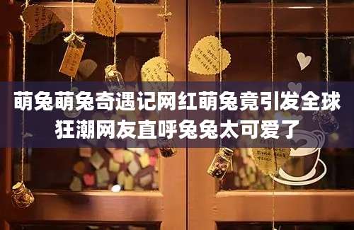 萌兔萌兔奇遇记网红萌兔竟引发全球狂潮网友直呼兔兔太可爱了
