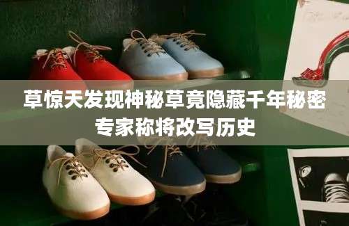 草惊天发现神秘草竟隐藏千年秘密专家称将改写历史