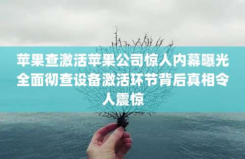 苹果查激活苹果公司惊人内幕曝光全面彻查设备激活环节背后真相令人震惊