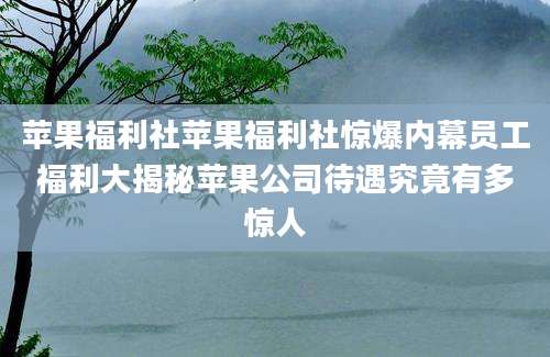 苹果福利社苹果福利社惊爆内幕员工福利大揭秘苹果公司待遇究竟有多惊人
