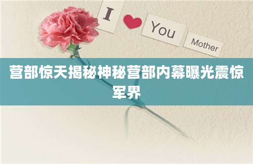 营部惊天揭秘神秘营部内幕曝光震惊军界