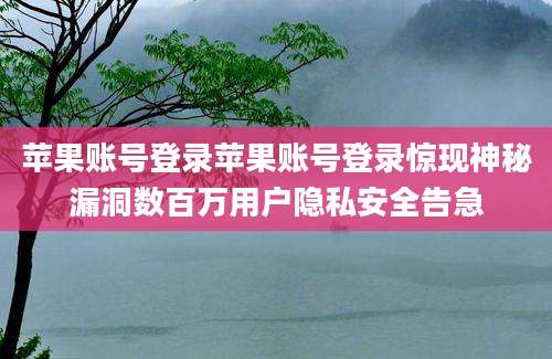 苹果账号登录苹果账号登录惊现神秘漏洞数百万用户隐私安全告急