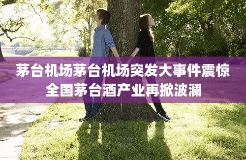 茅台机场茅台机场突发大事件震惊全国茅台酒产业再掀波澜