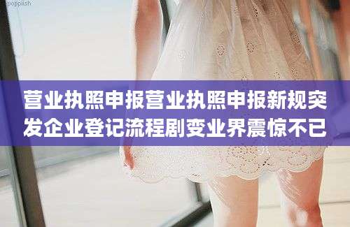 营业执照申报营业执照申报新规突发企业登记流程剧变业界震惊不已