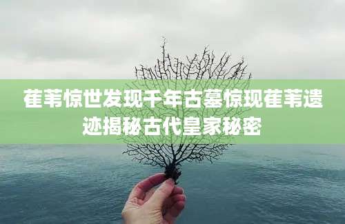 萑苇惊世发现千年古墓惊现萑苇遗迹揭秘古代皇家秘密