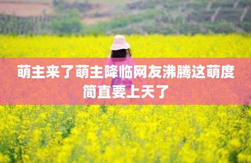 萌主来了萌主降临网友沸腾这萌度简直要上天了