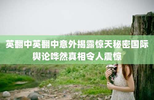 英翻中英翻中意外揭露惊天秘密国际舆论哗然真相令人震惊