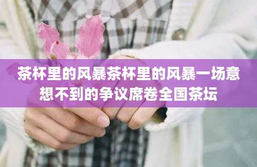 茶杯里的风暴茶杯里的风暴一场意想不到的争议席卷全国茶坛