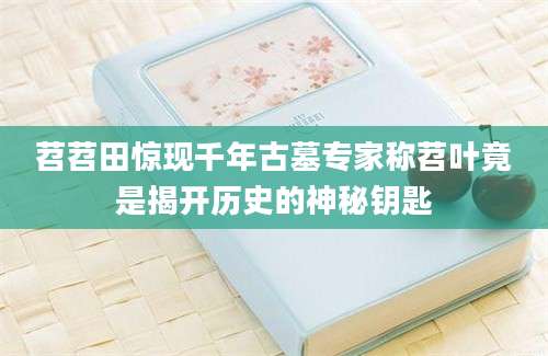 苕苕田惊现千年古墓专家称苕叶竟是揭开历史的神秘钥匙